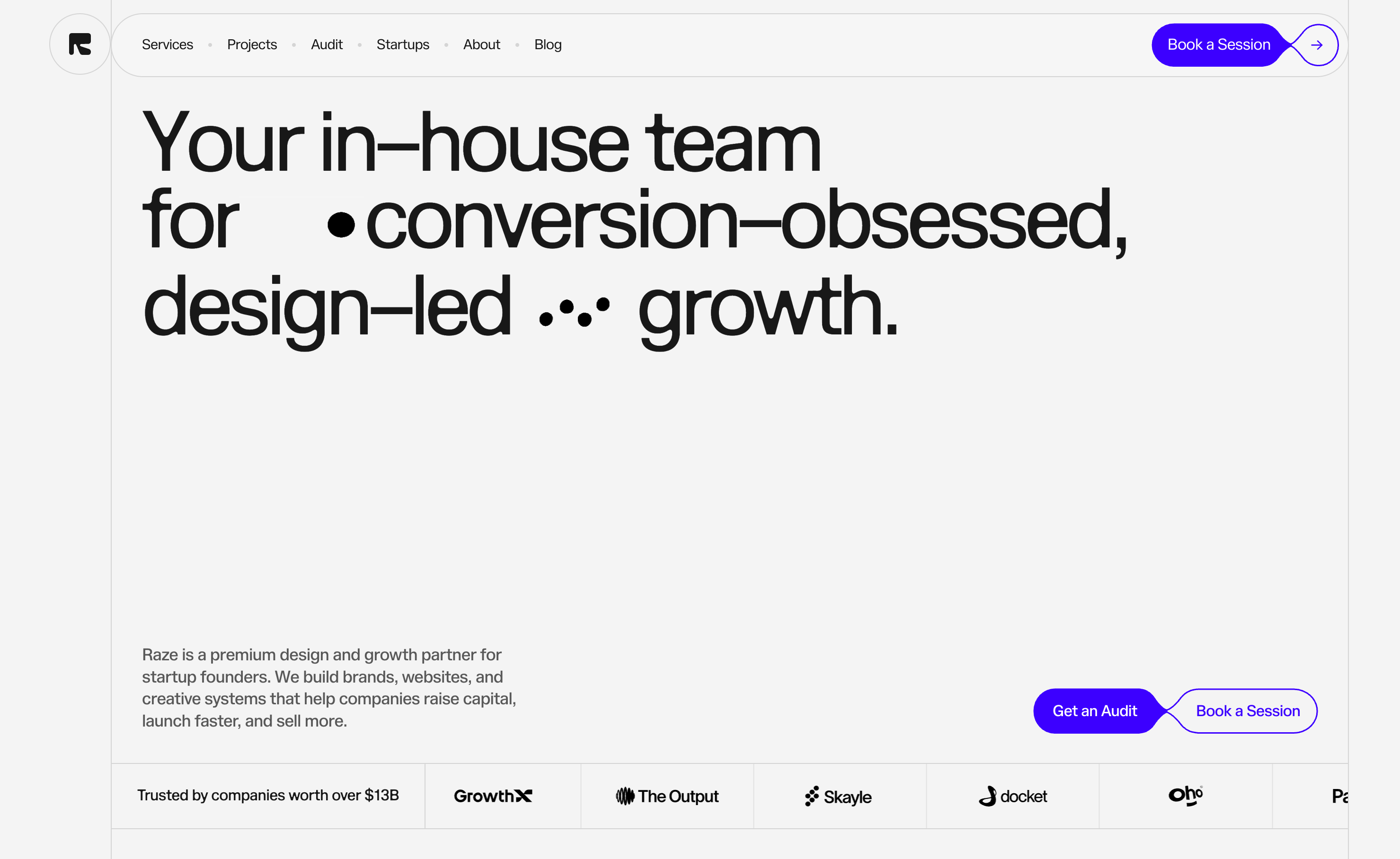 Raze website preview